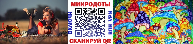 MEGA tor  как найти   Похвистнево  Псилоцибиновые грибы ЛСД 